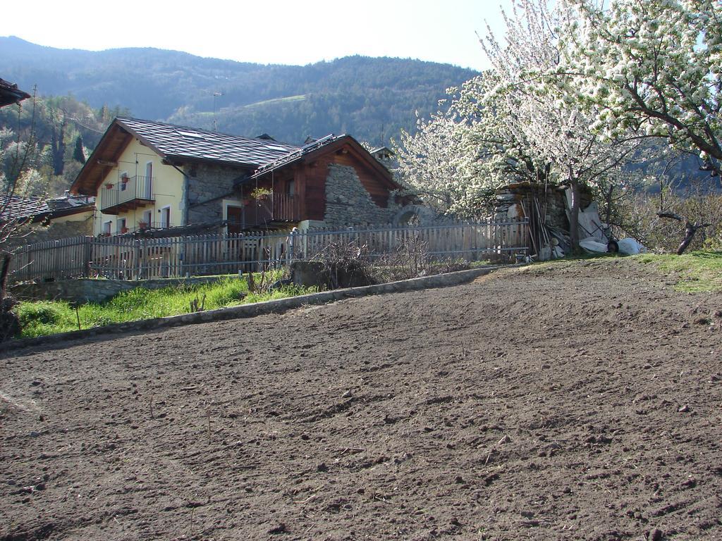 Affittacamere Grand Saint Bernard Gignod Buitenkant foto